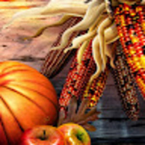 Meet your Posher, Shana